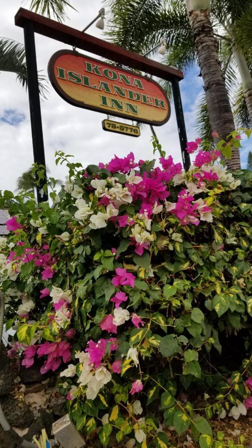 Downtown Hawaiian Paradise Condo With Hot Tub, Pool & Beach - Kona Islander Inn Kailua-Kona Eksteriør billede