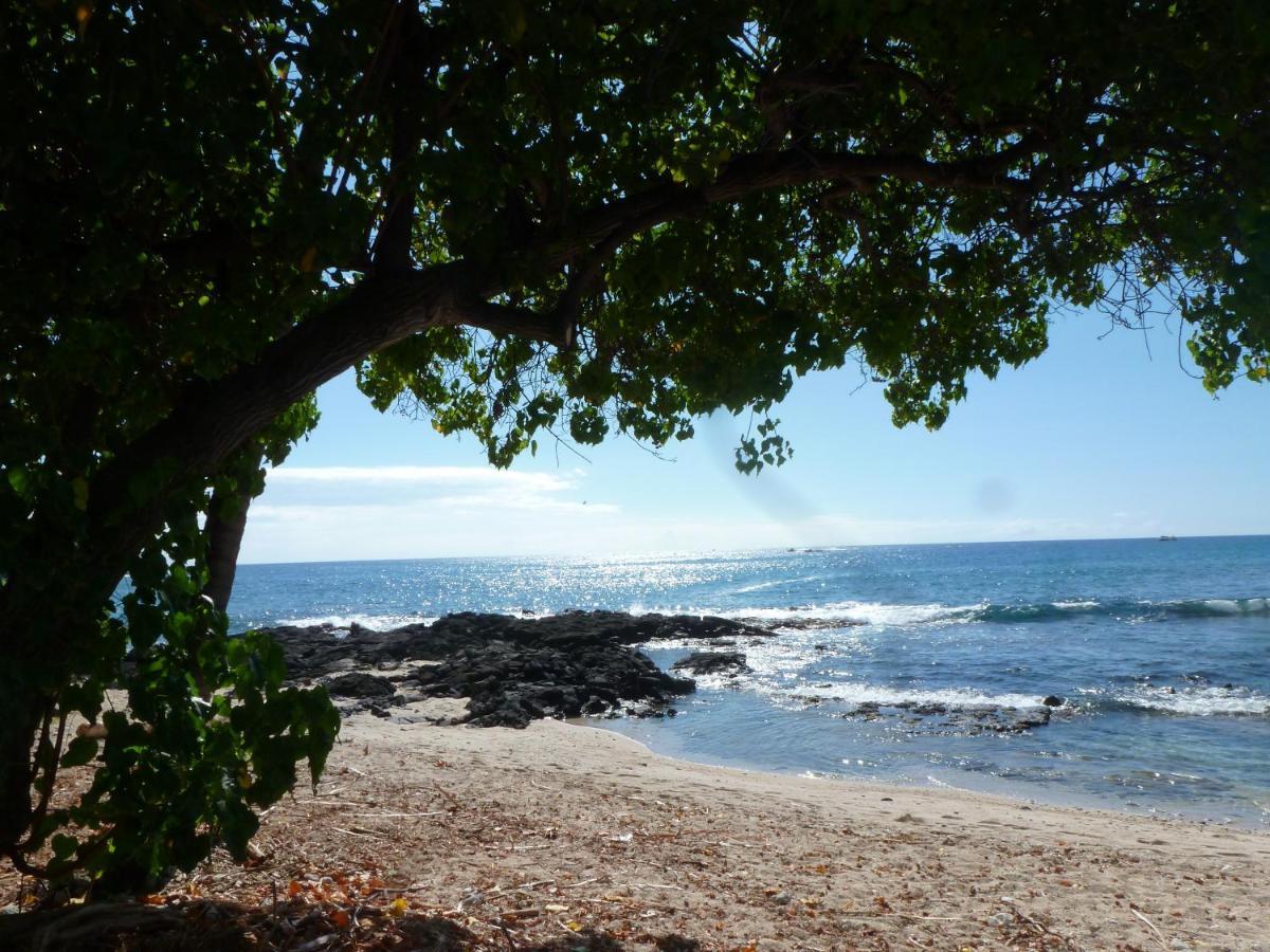 Downtown Hawaiian Paradise Condo With Hot Tub, Pool & Beach - Kona Islander Inn Kailua-Kona Eksteriør billede